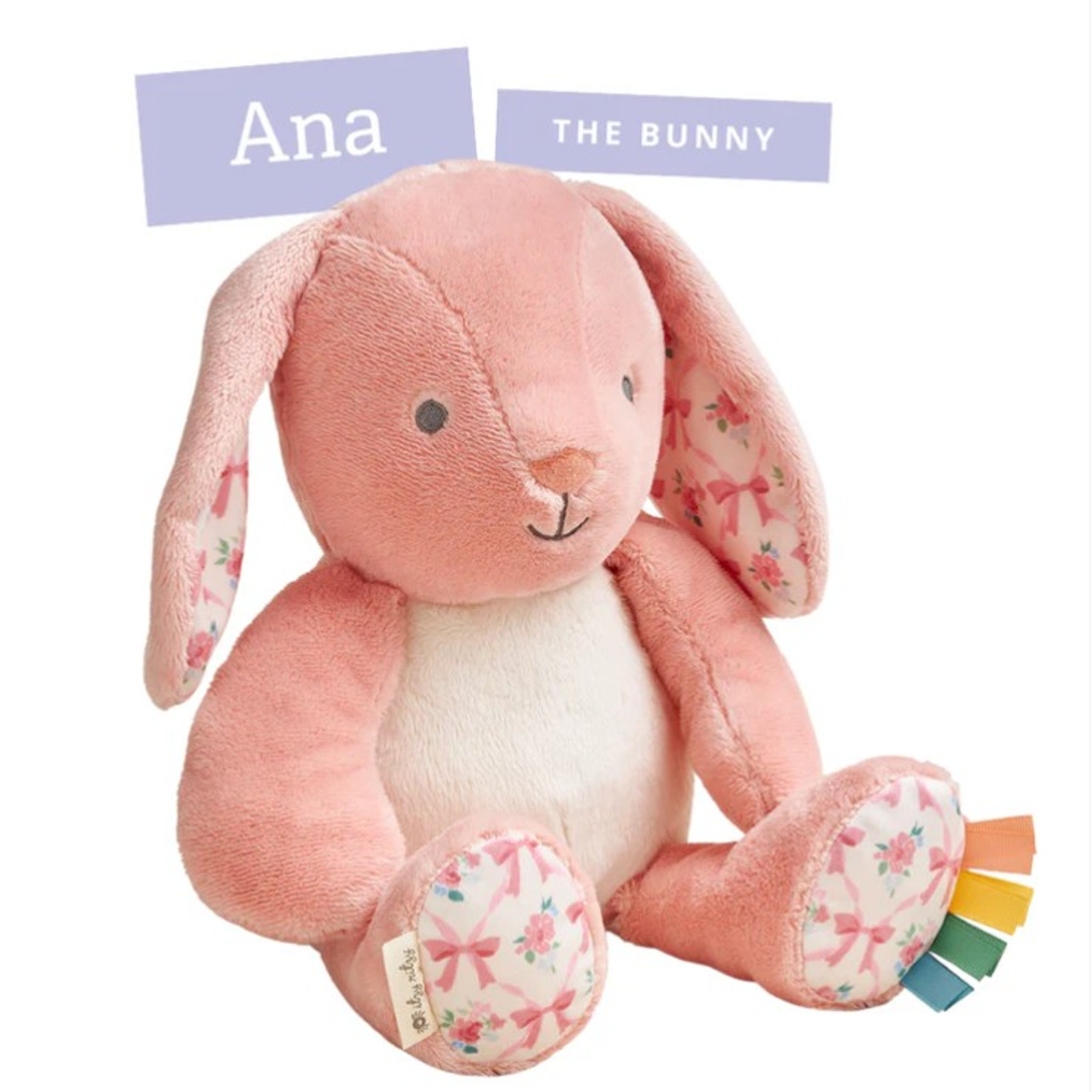 Sweetie Snuggles™ Plush - Ana the Bunny